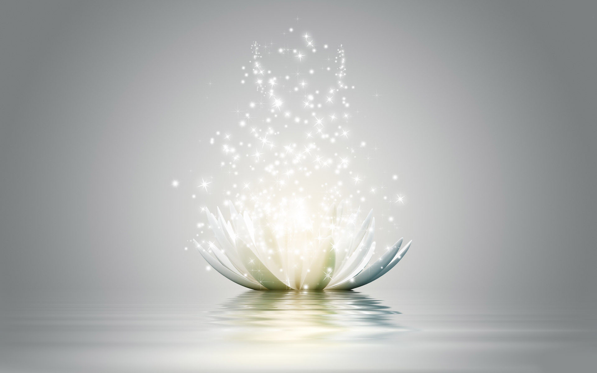 lotus-flower-wallpaper – Araya Rebirth